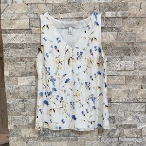 White House Black Market Shell